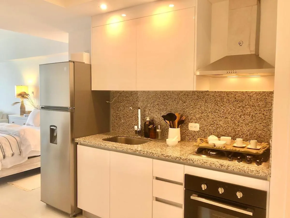 Near To Heaven Boho Front Beach 21 Floor Apartment Los Mameyes  Los Mameyes (Santo Domingo)